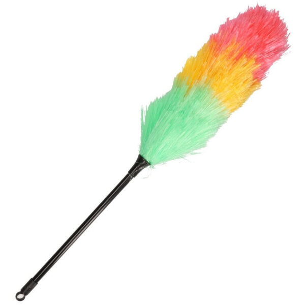 Plumeau/stofborstel gekleurd 53 cm -