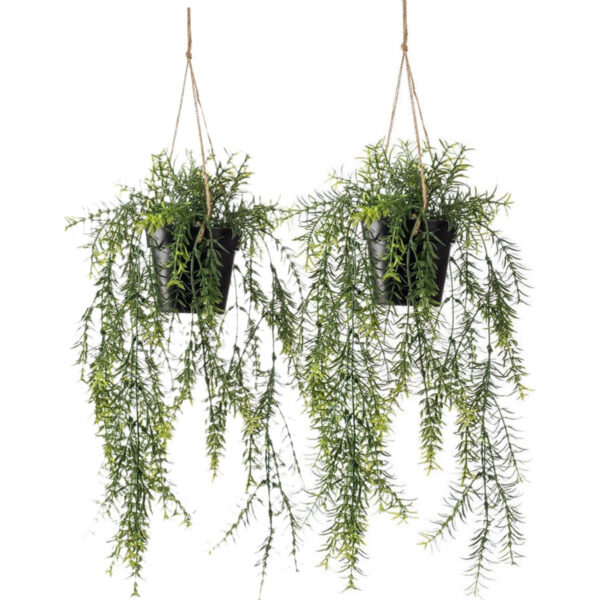Emerald kunstplant/hangplant - 2x - Asparagus - groen - 50 cm lang